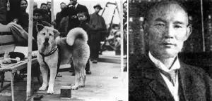 A história de lealdade entre Hachiko e seu dono