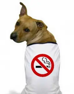 Por que o cigarro prejudica a saúde do seu cachorro?