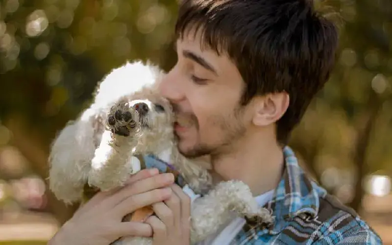 Por que algumas pessoas atraem cachorros?