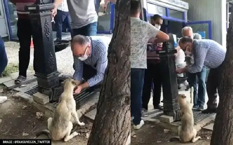 homem-e-filmado-enquanto-da-agua-para-um-cachorro-de-rua