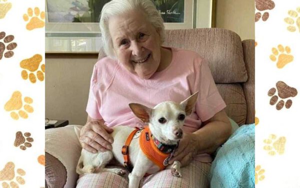 Mulher centenária adota cachorro de 11 anos