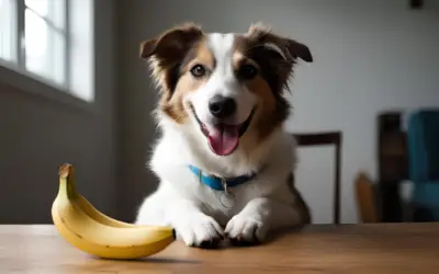 Cães Podem Comer Bananas? Descubra Se Esta Fruta É Segura para Seu Pet